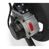 Golden Stride: GP301 Freewheel Lever