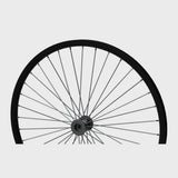 Newton One spoke rear wheel