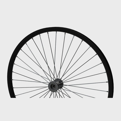 Newton One spoke rear wheel