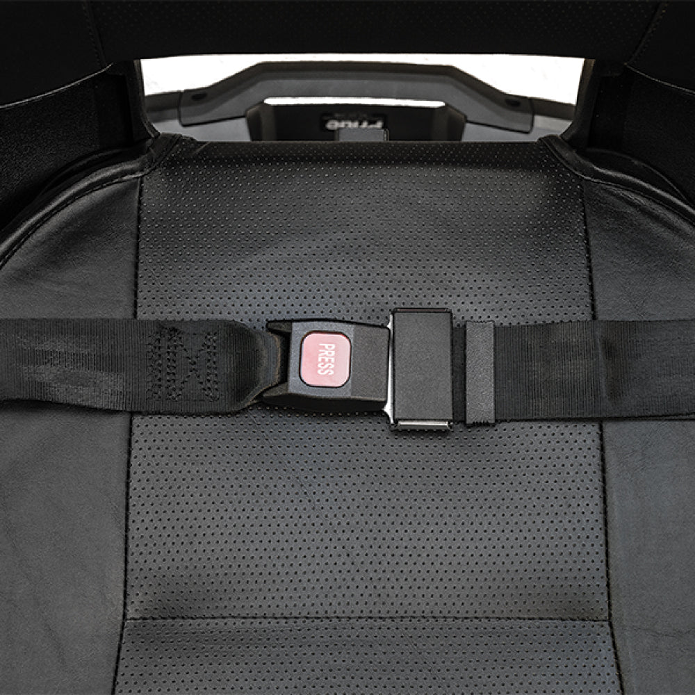 Pride lap belt