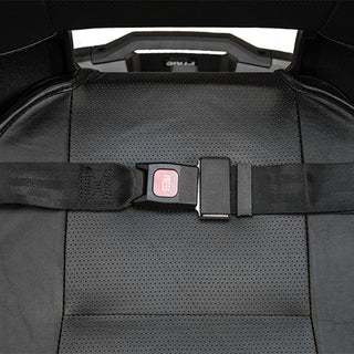Pride lap belt