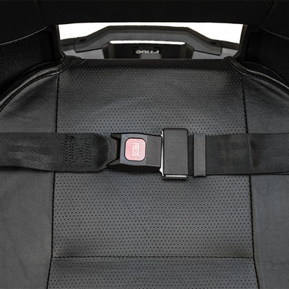 Pride lap belt