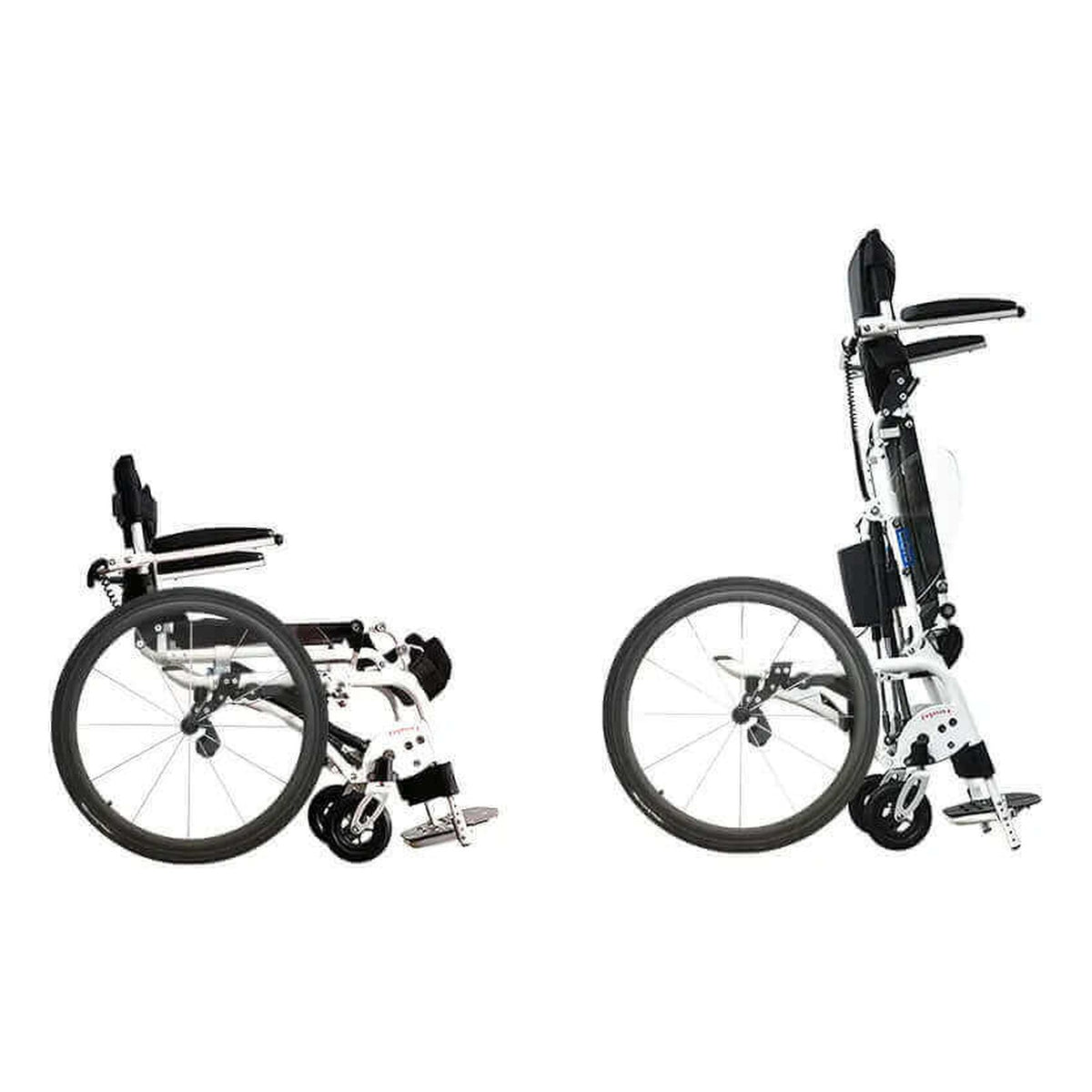 Pegasus II, sitting and standing, side view