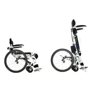Pegasus II, sitting and standing, side view