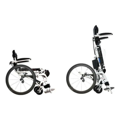 Pegasus II, sitting and standing, side view