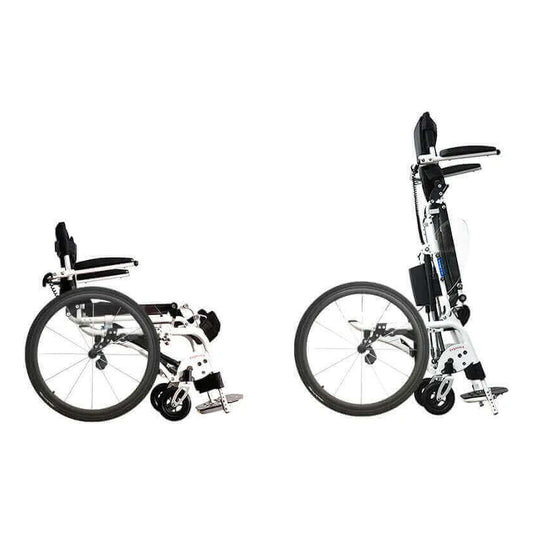 Pegasus II, sitting and standing, side view