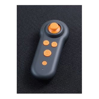 Golden Ally Wireless Remote, part MBA-0080