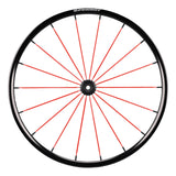 Spinergy Blade LXL wheel with red spokes