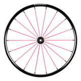 Spinergy Blade LXL wheel with pink spokes