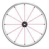 Spinergy LX FlexRim wheel with pink spokes