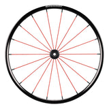 Spinergy LXL wheel with red spokes