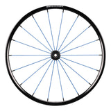 Spinergy LXL wheel with blue spokes