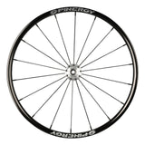 Spinergy SPOX Everyday wheel, from the side