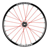 Spinergy SPOX Sport XSL wheel with red spokes