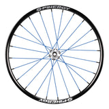 Spinergy SPOX Sport XSL wheel with blue spokes
