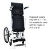 Pegasus Standing Wheelchair 2