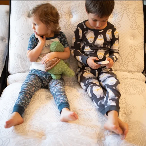 Flex-A-Bed Premier adjustable bed with customizable mattress options, shown with the head and foot sections raised for comfort.