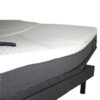 Golden Passport Bed 13 Golden Passport Hi-Low Adjustable Bed with customizable height and mattress options, shown with head and foot sections raised.