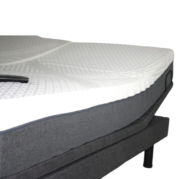 Golden Passport Hi-Low Adjustable Bed with customizable height and mattress options, shown with head and foot sections raised.