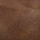 Acorn